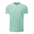 Mist Green (0824)